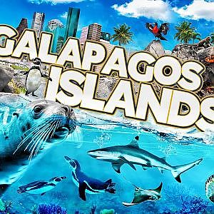 Zoo Tours: NEW! Galápagos Islands | Houston Zoo
