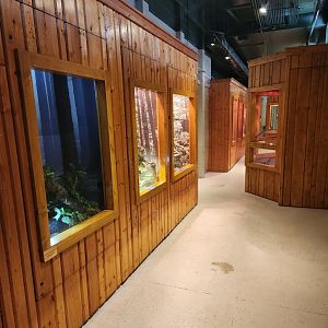Elachee Nature Science Center - Reptile hall