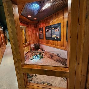 Elachee Nature Science Center - Gopher Tortoise exhibit