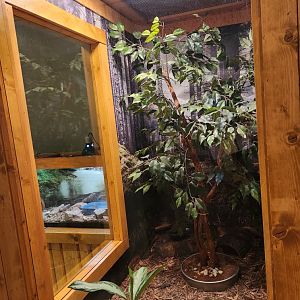 Elachee Nature Science Center - Turtle/Frog exhibit