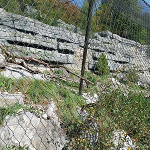 AareAlps complex - Alpine marmot enclosure