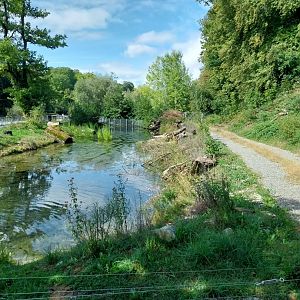 Aare Bank Facilities