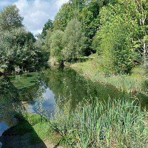 Aare Bank Facilities