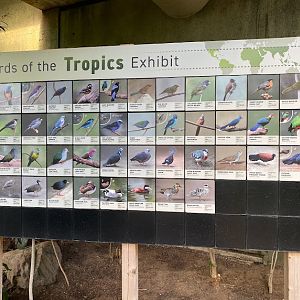 Tropics Bird Signage