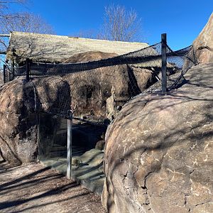 New netting over meerkat enclosure