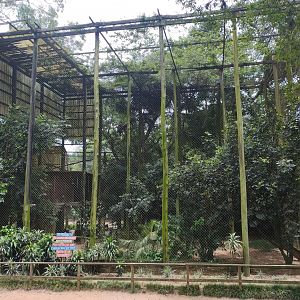 Andean condor aviary - Zoo Sapucaia