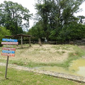 Part of white rhino exhibit - Zoo Sapucaia