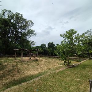 Part of white rhino exhibit - Zoo Sapucaia