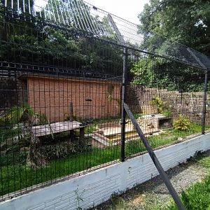 Almost done tiger exhibit - Zoo Sapucaia