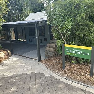 New Zealand Predators (New)