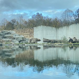 Polaarium (Polar Bear enclosure)
