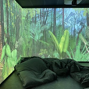Rainforest house, multimedia room