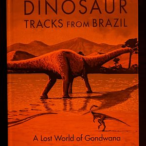 Dinosaur Tracks from Brazil: A Lost World of Gondwana
