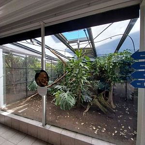 Mixed species enclosure