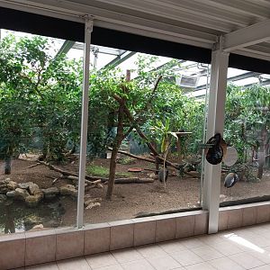 Mixed species enclosure