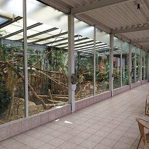 Mixed species enclosure