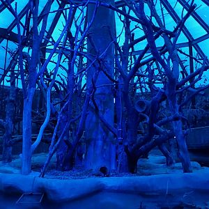 Nocturnal dome - central enclosure