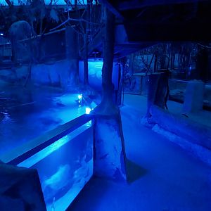 Nocturnal dome - General view