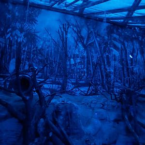 Nocturnal dome - Mixed species enclosure