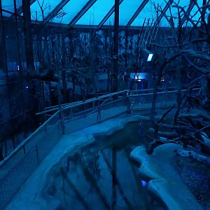 Nocturnal dome - General view