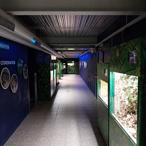 Breeding station - Insect house