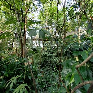 Jungle Trek dome - general view