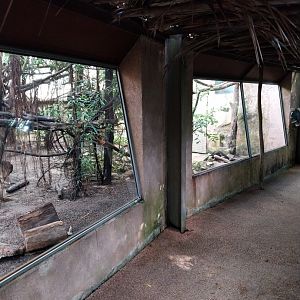 Jungle Trek dome - Seperate enclosures for mammals