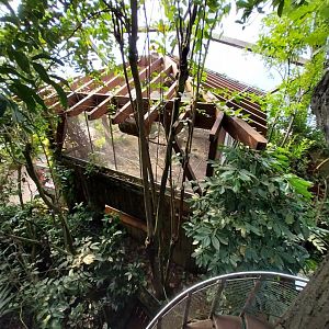 Jungle Trek dome - Canopy walk - Enclosure