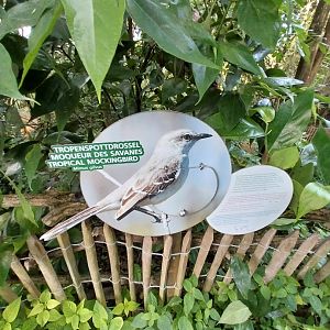 Jungle Trek dome - Species sign