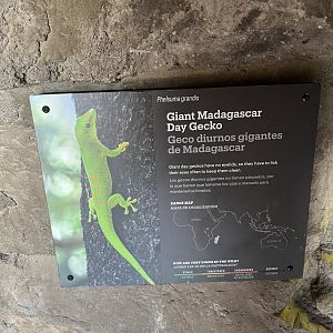 Houston Zoo Children’s Zoo cave