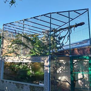 Monkey House - Goeldi's monkey and Palawan peacock-pheasant