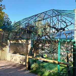 Monkey House - Black-capped capuchin enclosure