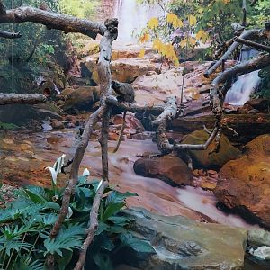 Monkey House - Goeldi's monkey enclosure