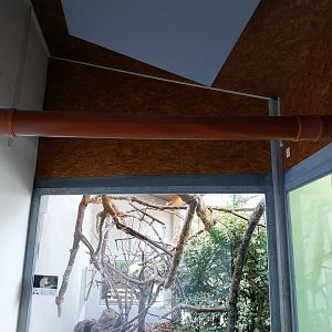 Monkey House - Sewage pipe passage for callitrichids