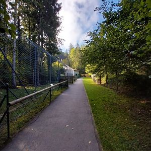 Snow leopard enclosure