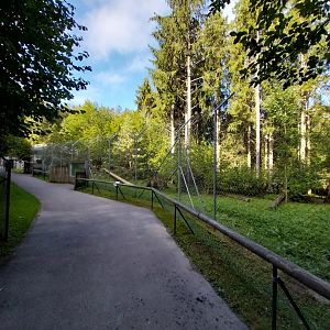 Snow leopard enclosure