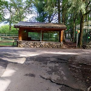 Red-necked wallaby building