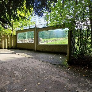 Syrian brown bear viewing point