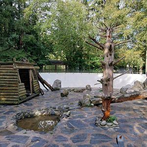 Syrian brown bear pit