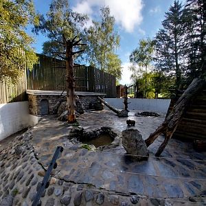 Syrian brown bear pit