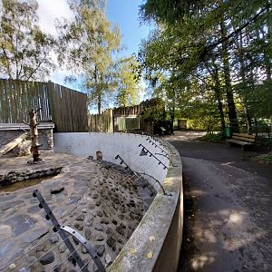 Syrian brown bear pit