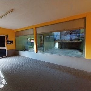 Cat House - African lion