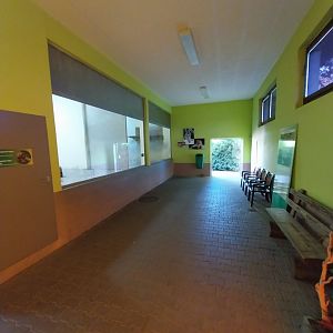 Cat House - Siberian tiger