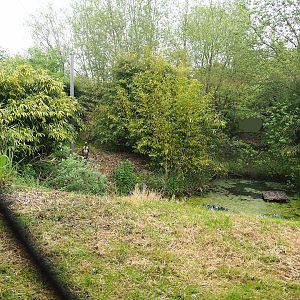 Saddle-billed stork aviary, 2023-05-15