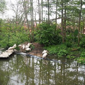 Stilt village aviary - Home to great white pelicans at the time, now shoebill summer exhibit, 2023-05-15