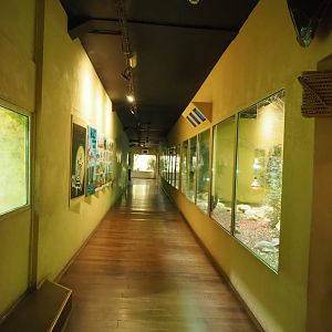 Visitor corridor and terrariums in the Mersus Emergo reptile house, 2023-05-15
