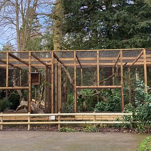 New Pallas's cat enclosure, CWP, UK