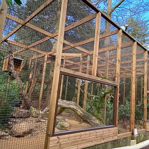 New Pallas's cat enclosure, CWP, UK