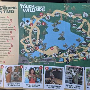 Billabong Sanctuary - Map