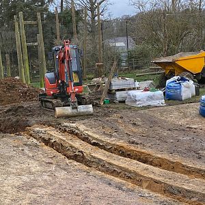 Work in the tiger enclosure...pond, ZSL Whipsnade